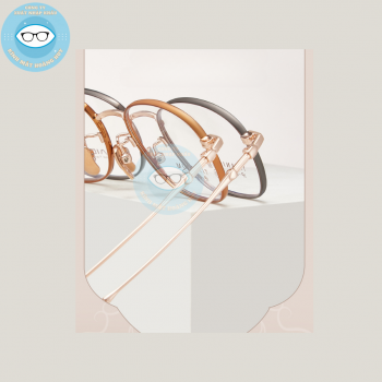 Gọng kính kim loại mã 6110